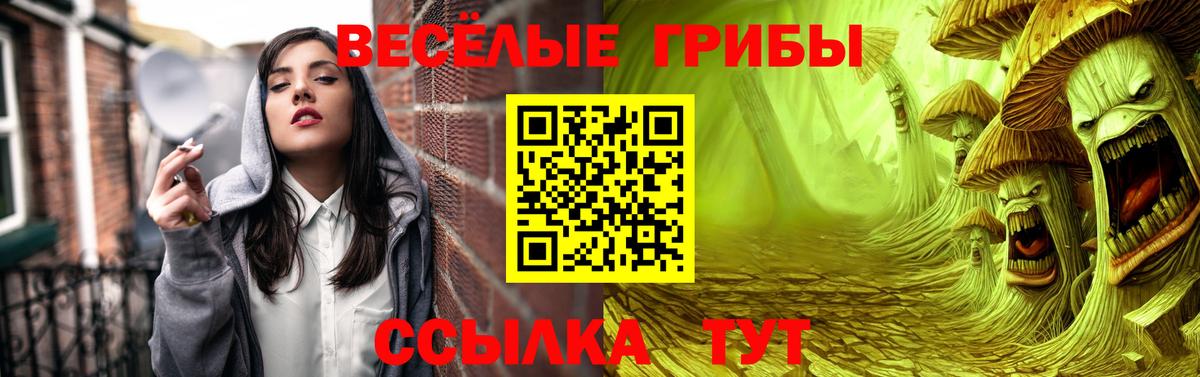 Бирск  Галлюциногенные грибы Cubensis  Вход с VPN  Галлюциногенные грибы Psilocybine cubensis 
